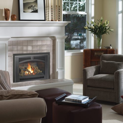 Lopi 34 DVL GAs Fireplace Insert